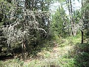 P9030093.JPG