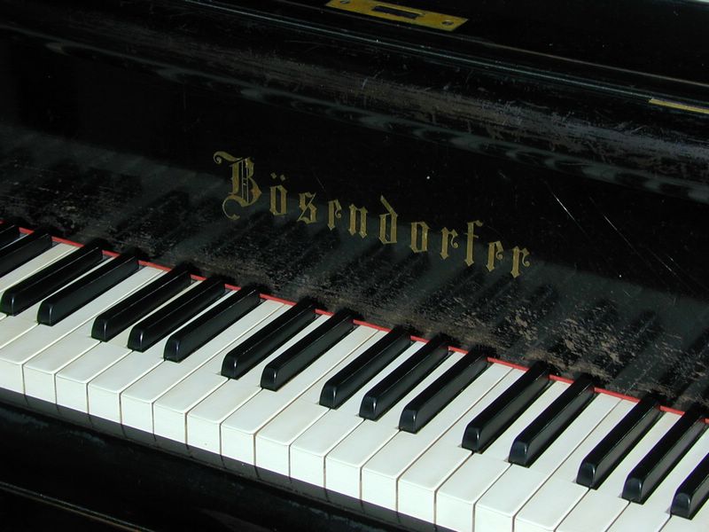 DSCN5668.JPG