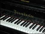 DSCN5668.JPG