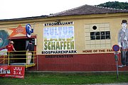 IMG_6462.JPG