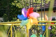 IMG_6523.JPG