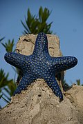 IMG_6532.JPG