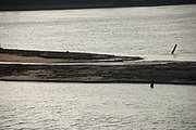 IMG_6589.JPG