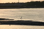 IMG_6625.JPG