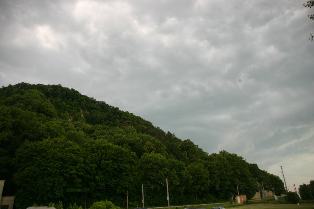 IMG_7204.JPG