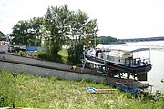 IMG_7137.JPG