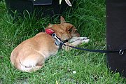 IMG_7197.JPG