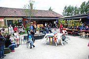 IMG_7294.JPG