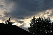 IMG_7343.JPG
