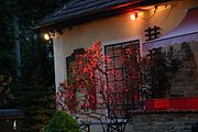 IMG_7379.JPG
