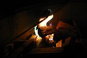 IMG_7497.JPG