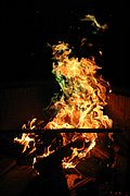 IMG_7514.JPG