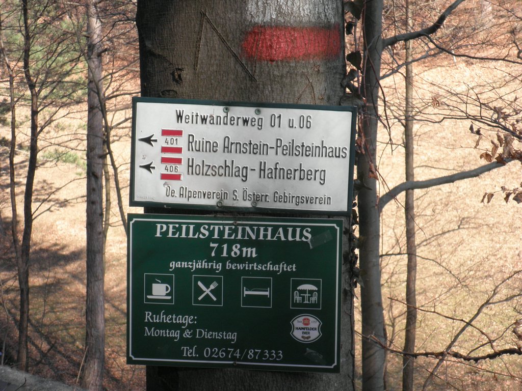 P3060005.JPG