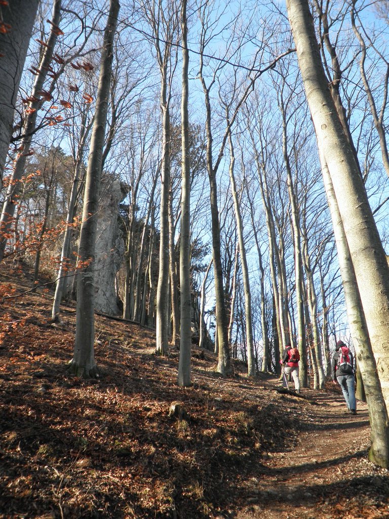 P3060007.JPG