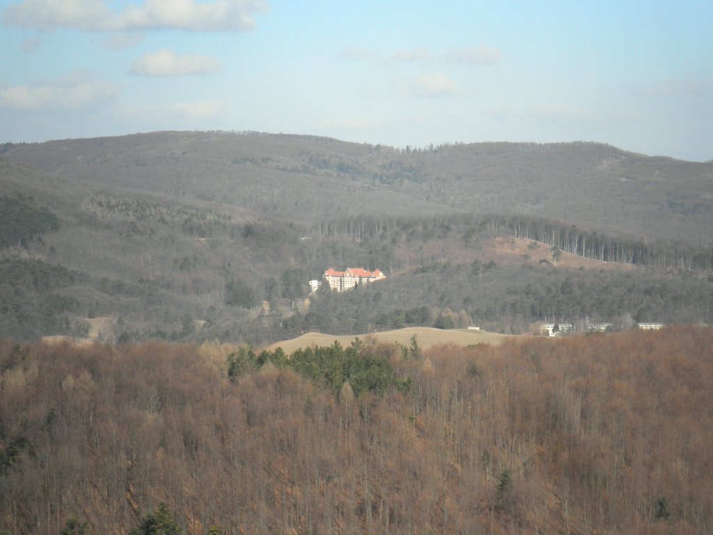 P3060010.JPG