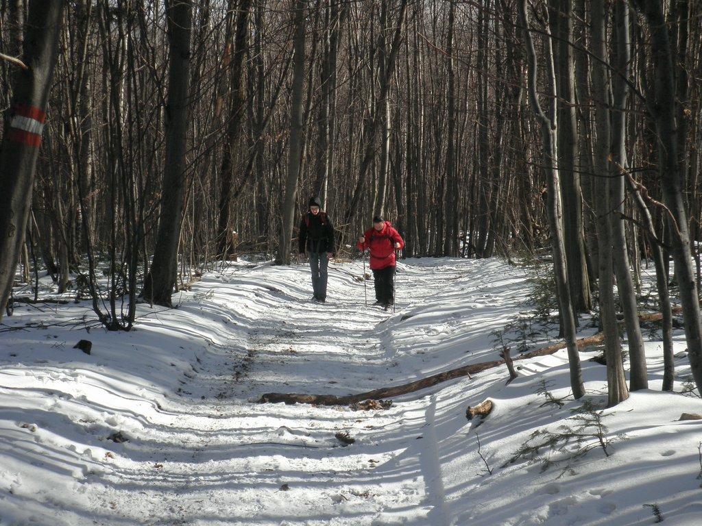 P3060014.JPG
