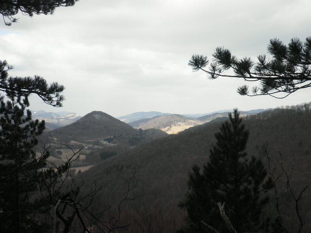 P3060027.JPG