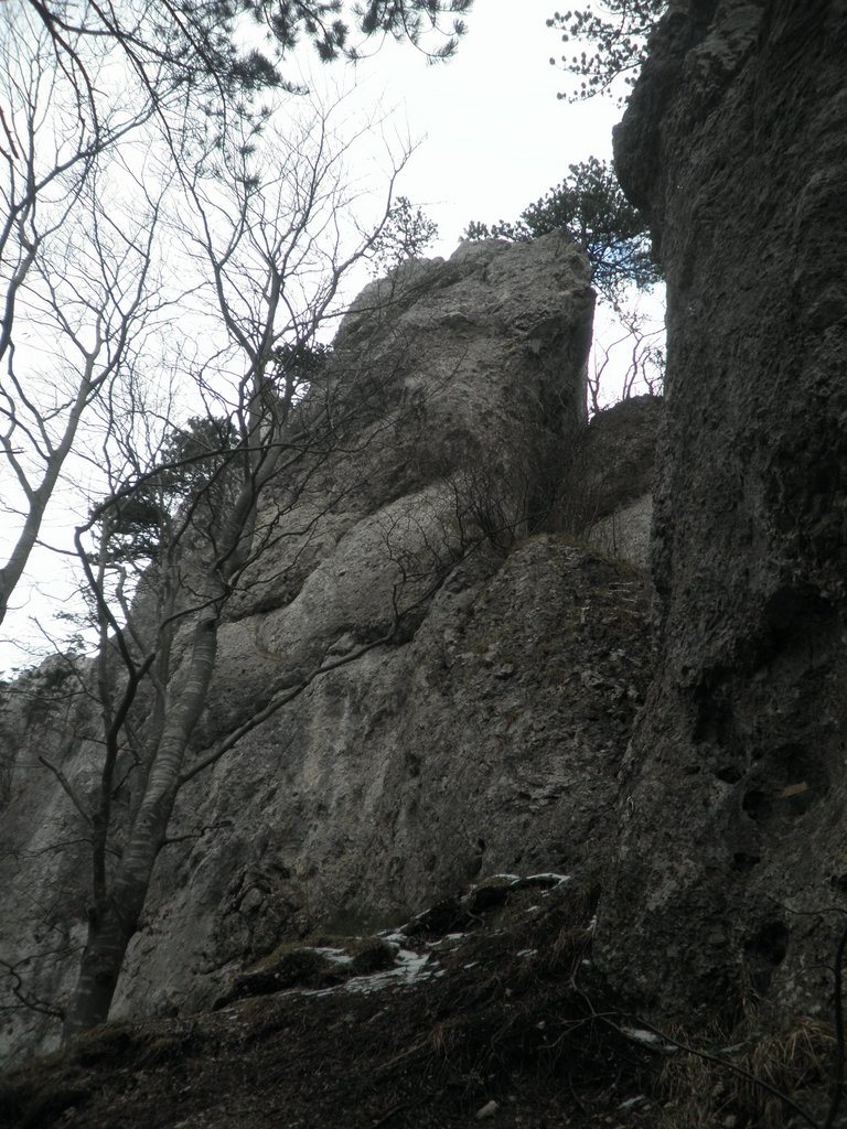 P3060030.JPG