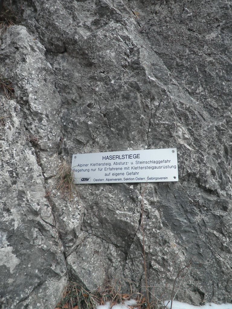 P3060031.JPG