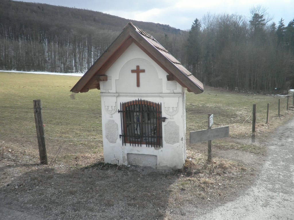 P3060046.JPG