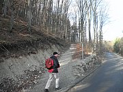 P3060004.JPG