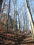 P3060007.JPG