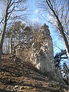 P3060008.JPG