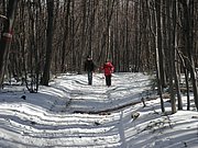 P3060014.JPG