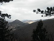 P3060027.JPG