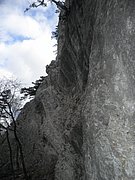 P3060028.JPG