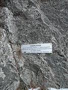 P3060031.JPG