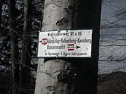 P3060047.JPG