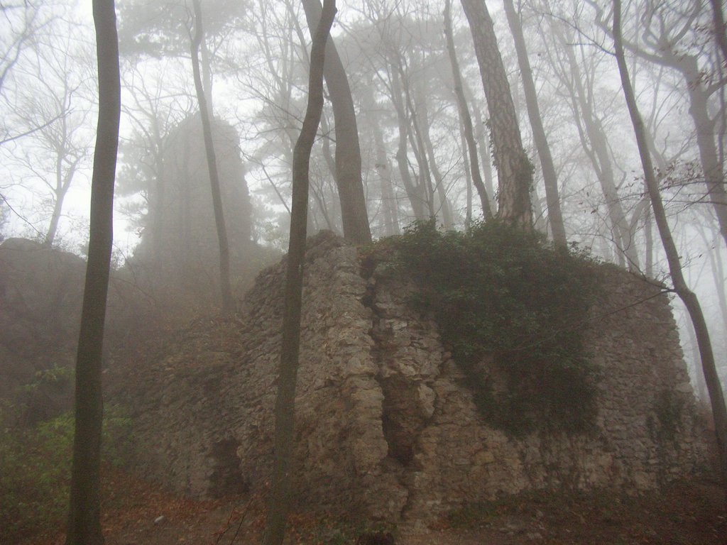 CIMG3044.JPG