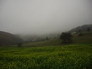 CIMG3029.JPG
