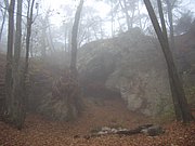 CIMG3045.JPG