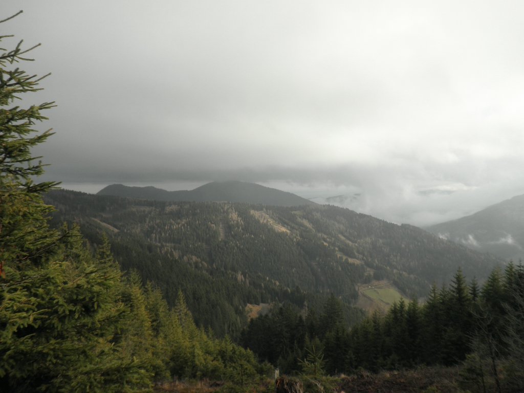 PB210011.JPG