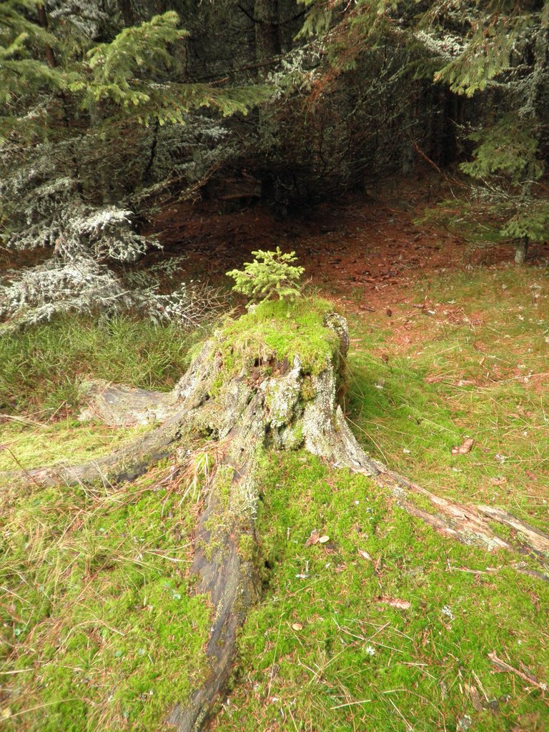 PB210025.JPG