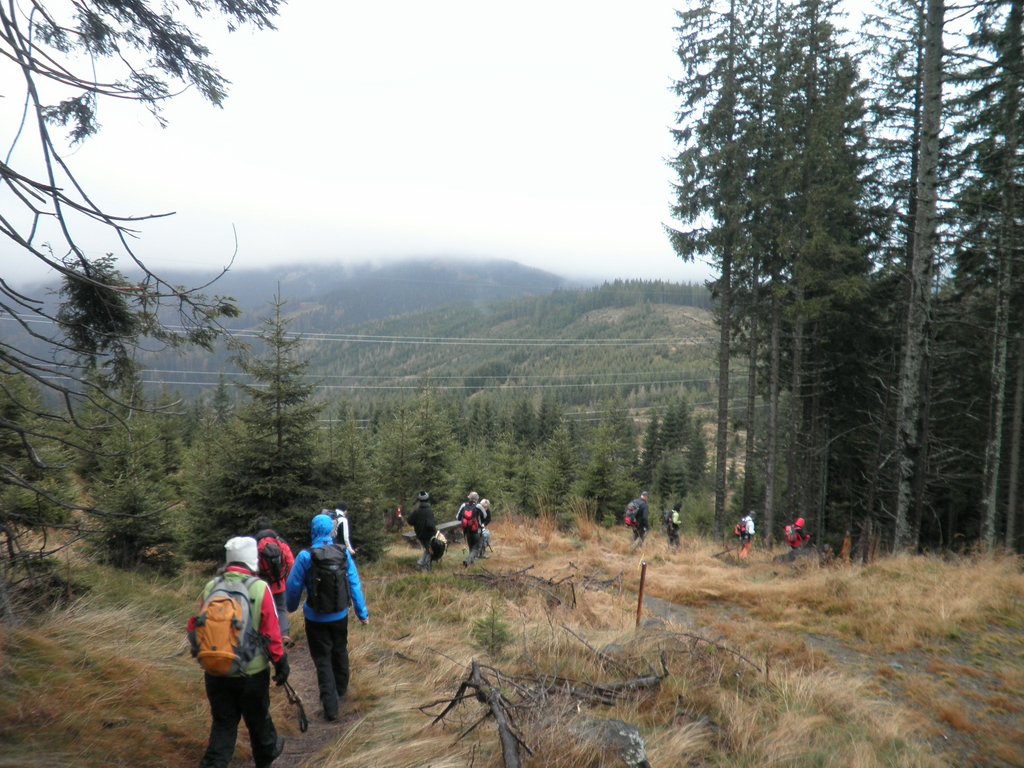 PB210028.JPG