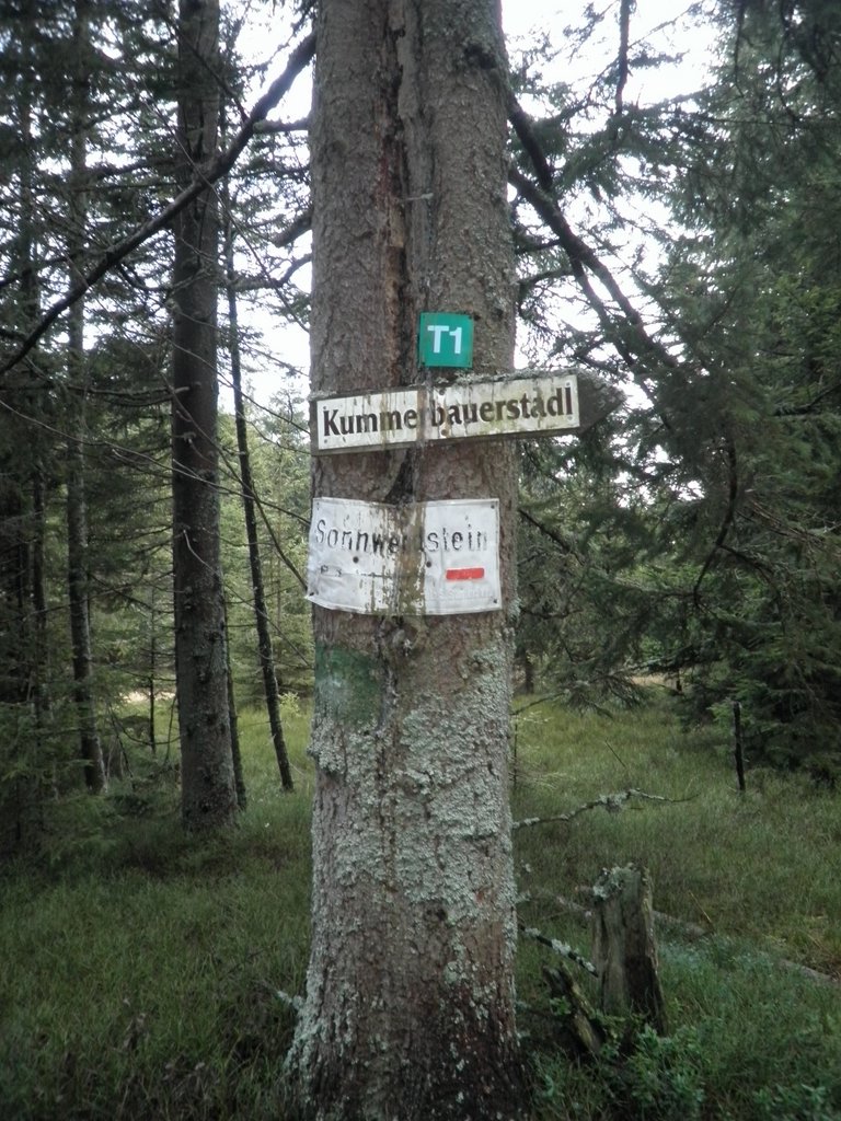 PB210029.JPG