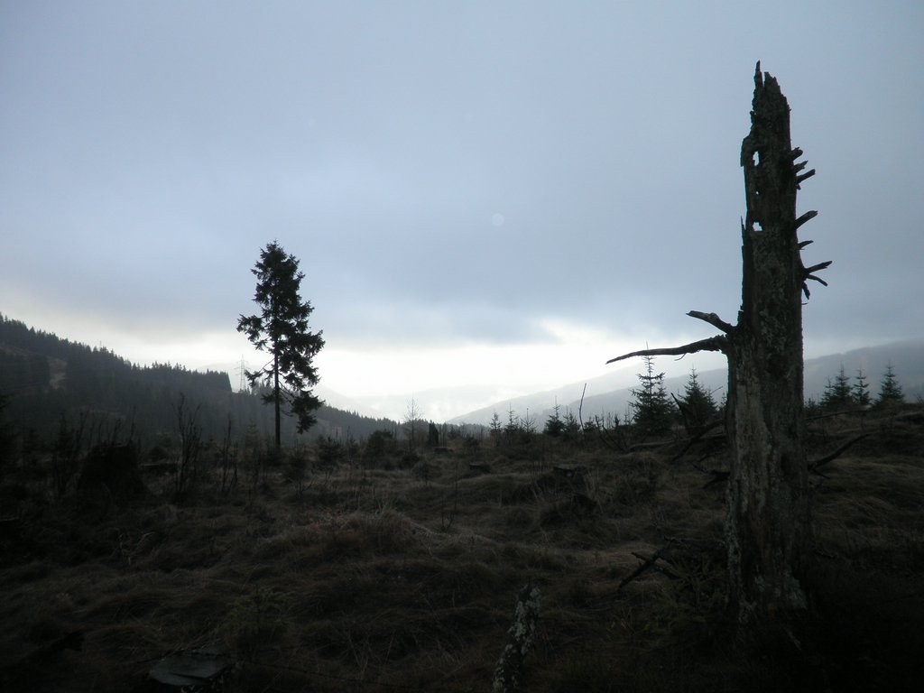 PB210031.JPG