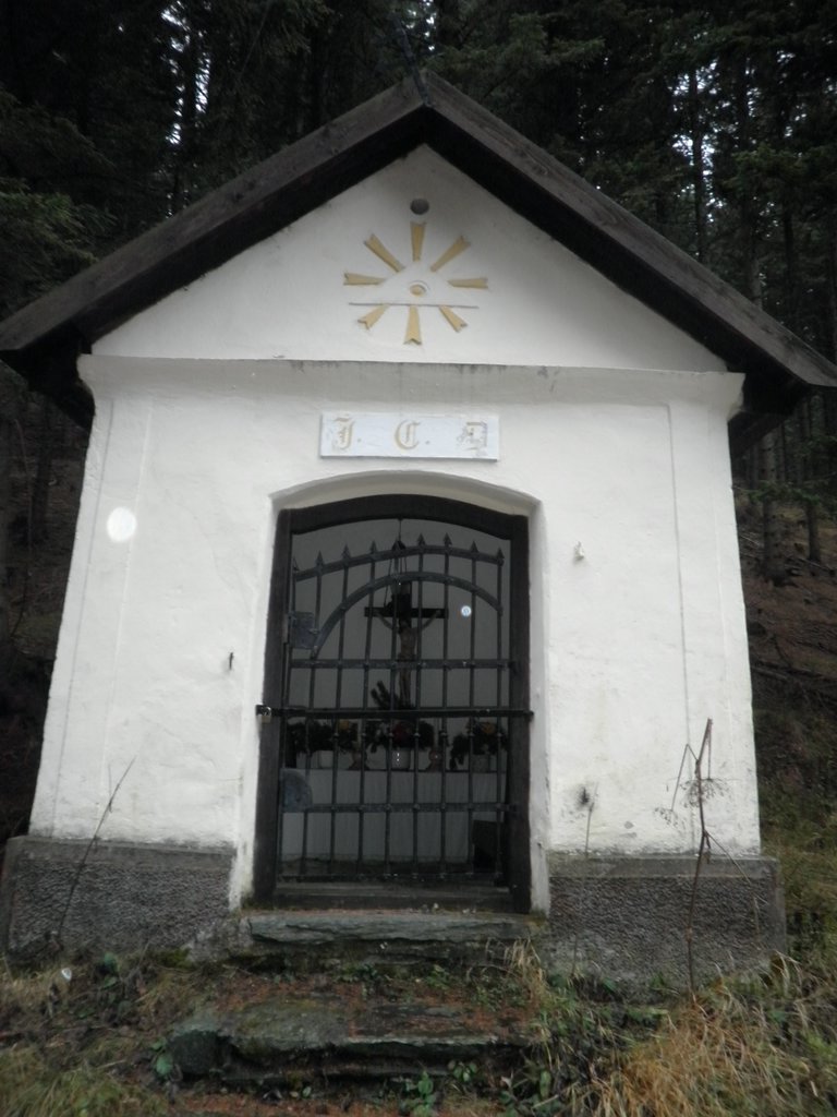 PB210033.JPG