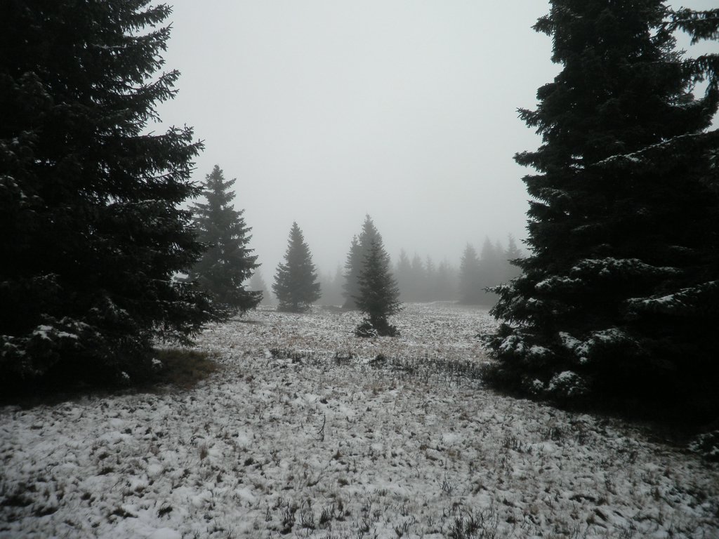 PB210044.JPG