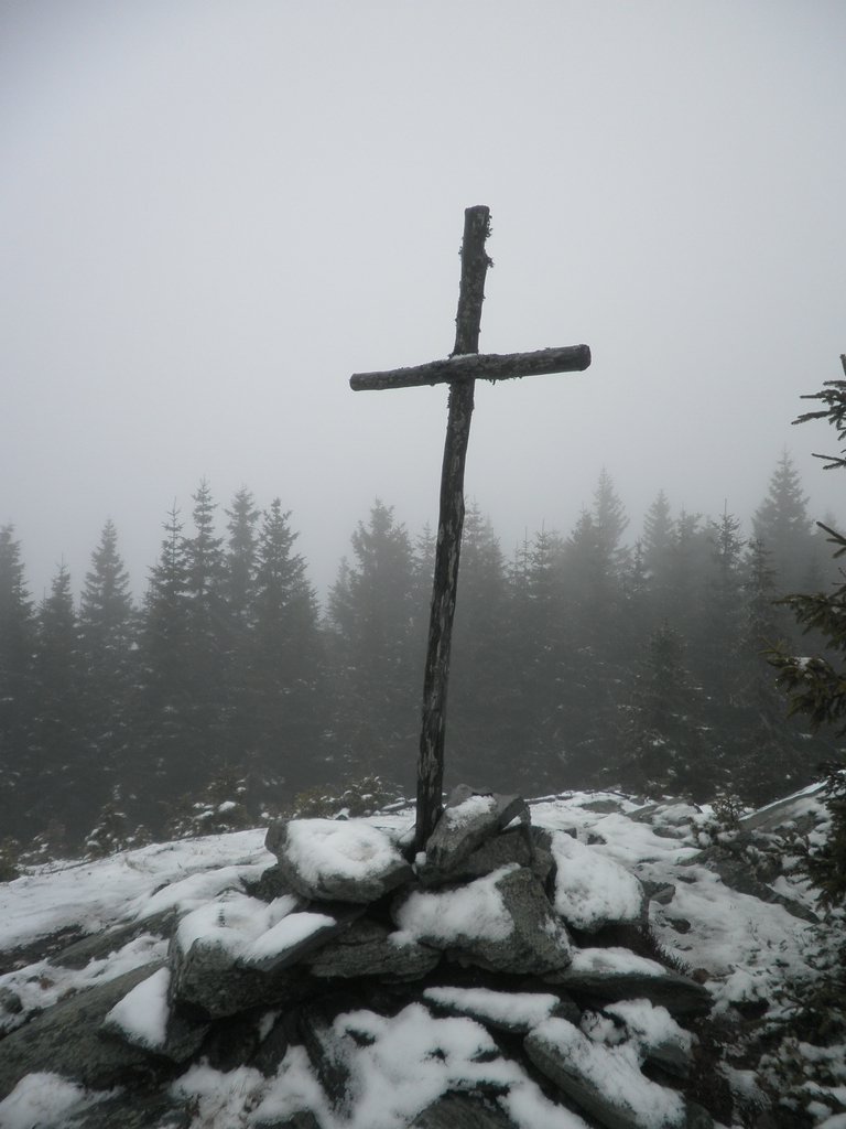 PB210046.JPG