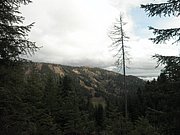 PB210008.JPG