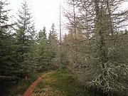 PB210020.JPG