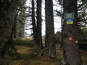 PB210026.JPG