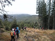 PB210028.JPG