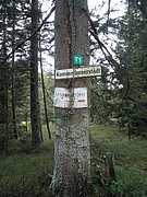PB210029.JPG