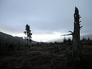 PB210031.JPG