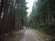 PB210032.JPG